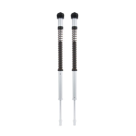 Kit Cartucce Forcelle anteriori OHLINS 22mm - Yamaha R3 /r25 2019-20