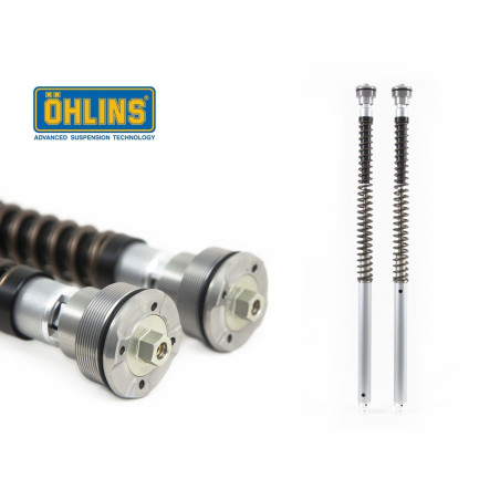 kit Cartuccia R1 2020 OHLINS 30 mm. NIX