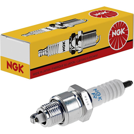 Candela di Accensione NGK (DPR8EA-9)
