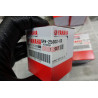 KIT REVISIONE PINZE R1 CON PISTONCINI
